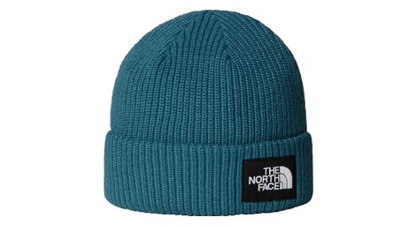 Cappellino unisex The North Face Salty Lined blu