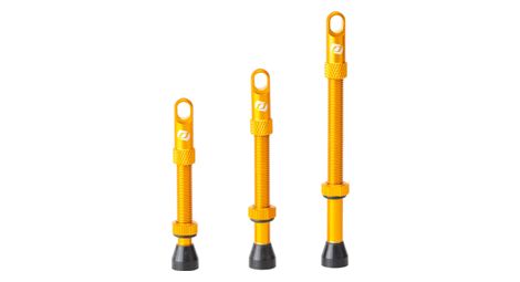 Paire de valves tubeless syncros presta orange