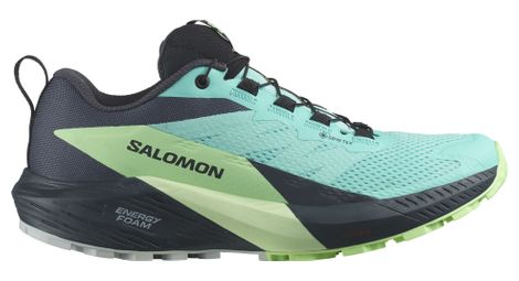 Chaussures de Trail Femme Salomon Sense Ride 5 Gore-Tex Bleu/Vert