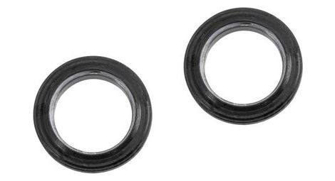 Paar Lager und Dichtungen von Campagnolo für Pro-Tech Ultra Torque Ekar 13V-Kurbeln