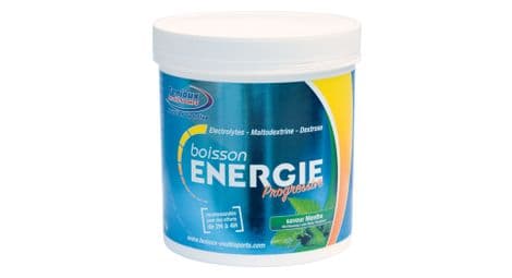Fenioux multi-sport energy drink progressive mint 500g