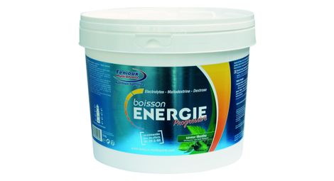 Fenioux multi sports boisson progressive pot de 1 5kg gout menthe