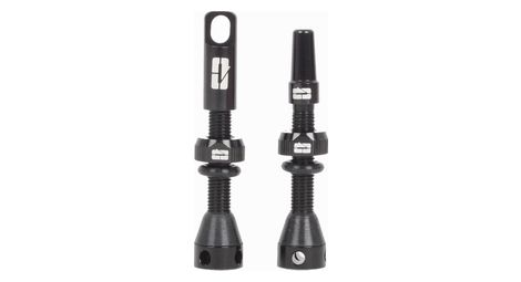 Paire de valves tubeless progress pg-719 presta 60mm noir