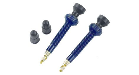 Valve tubeless conique 45 mm - bleu - lot de 2 valves