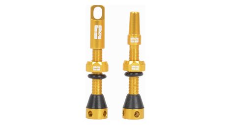 Paire de valves tubeless progress pg-719 presta 40mm or