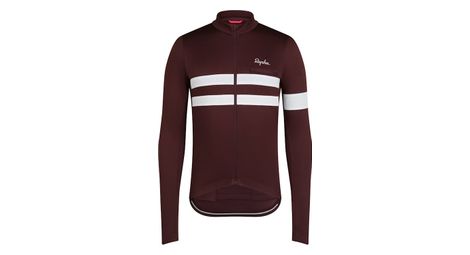 Langarm trikot rapha brevet jersey braun/weiß herren