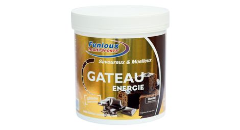 Gâteau énergétique fenioux multi-sports energie chocolat - 400g