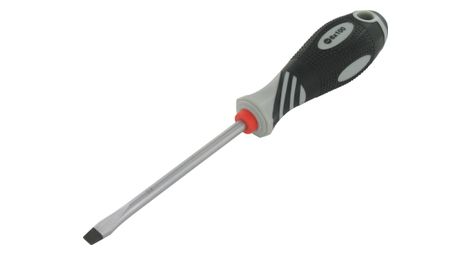 Var tournevis professionnel à lame plate - 6x100 mm