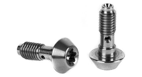 Vis Banjo Elvedes pour Etrier de Frein Magura (x2)