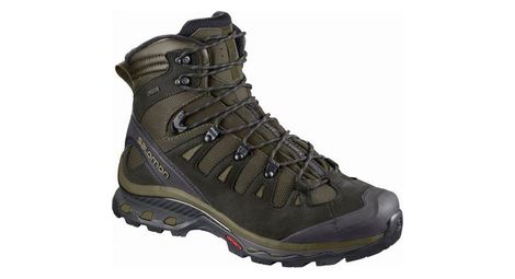 Chaussures de Randonnée Salomon Quest 4D 3 Gtx