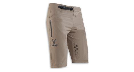 Short animoz wild camel