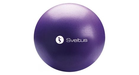 Ballon pedagogique sveltus