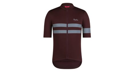 Kurzarm trikot rapha brevet jersey braun/silber herren