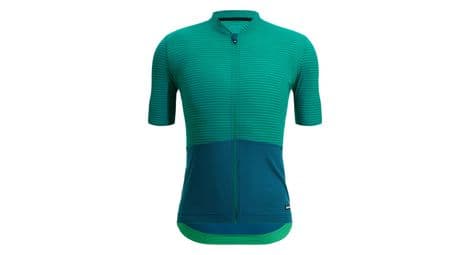 Maillot de manga corta santini colore riga verde/azul