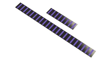Rrp proguard sticker - standard - black / purple