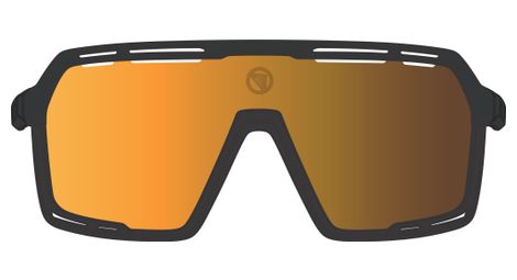 Lunettes Endura Pro SL Noir