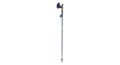 Nordic walking stöcke lacal stick carbon 70% blau