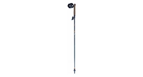 Bastones de marcha nórdica Lacal Stick Carbone 100% Azul