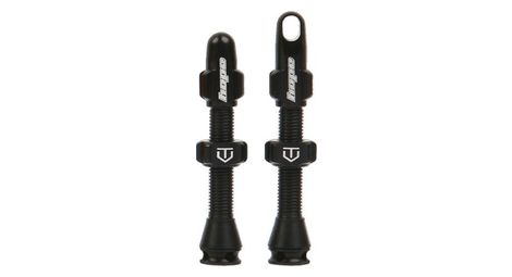 Paire de valves tubeless hope noir