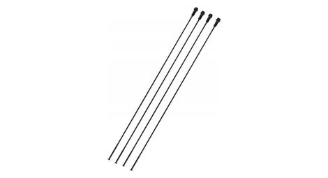 Lot de 4 rayons avant gauche campagnolo zonda