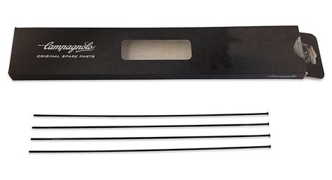 Lot de 4 rayons arriere gauche campagnolo khamsin g3