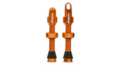 Paire de valves tubeless hope orange