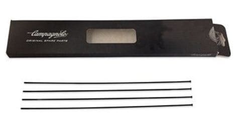 Lot de 4 rayons arriere gauche campagnolo calima