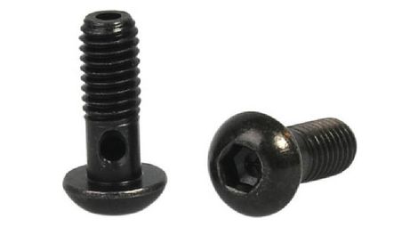 Vis banjo elvedes m6 x 1 (x2)