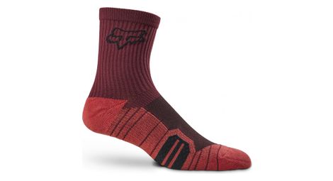 Chaussettes vtt fox 6 ranger cushion rouge bordeaux