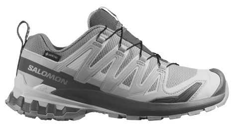 Salomon XA Pro 3D V9 GTX Trail-Schuhe für Damen, grau