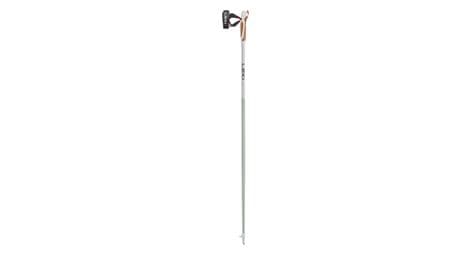 Gereviseerd product - leki passion dames nordic walking stokken groen/wit