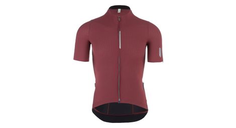 Maillot manches courtes q36 5 pinstripe pro marron