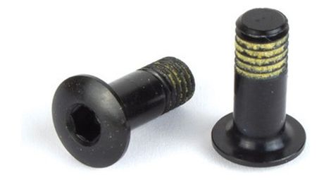 Vite di fissaggio della gabbia del deragliatore campagnolo rd-sr130