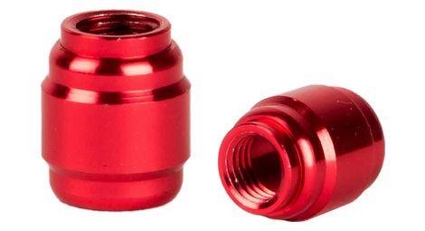 Kit di 30 olive Elvedes AV02-1 per tubo flessibile Sram/Avid rosso