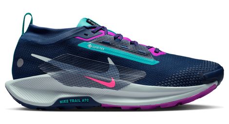 Chaussures Trail Nike Pegasus Trail 5 GTX Bleu/Rose Homme