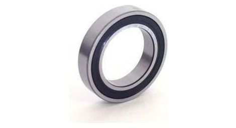 Roulement b3 inox - blackbearing - 16002-2rs