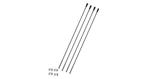 Lot de 4 rayons avant droit campagnolo shamal carbone