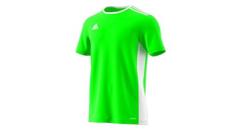 T shirt adidas entrada 18
