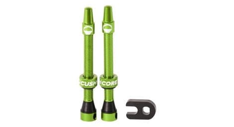 Valves tubeless cushcore 55 mm vert