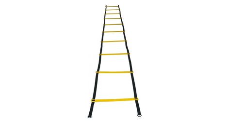 Echelle d agilite sveltus