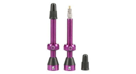 Tubolight paire de valves tubeless 50mm vtt purple