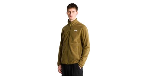 Polar The North Face Glacier Verde Uomo