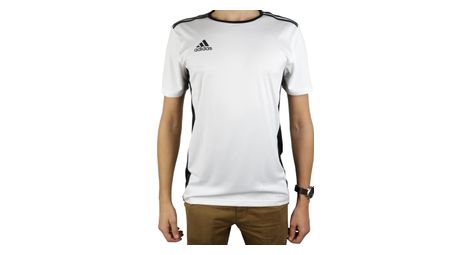Adidas entrada 18 jsy cd8438 homme t shirt blanc