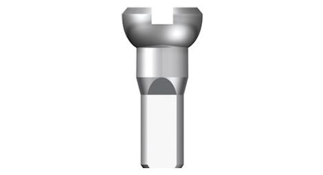 Ecrou de rayon interne sapim polyax en laiton 12mm argent