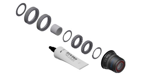 Kit de servicio DT Swiss Ratchet LN para bujes híbridos DT Swiss MTB | Sram XD