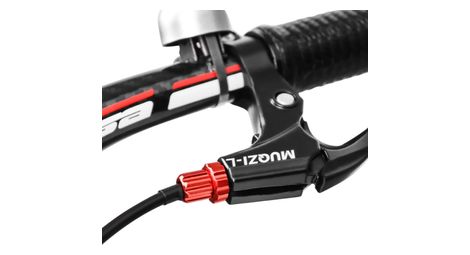 Lote de 2 tornillos de ajuste palanca de freno bici – M10 aluminio anodizado