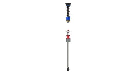 Rockshox isolator rc domain c1+