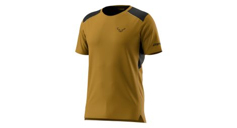 Maillot manches courtes dynafit sky marron homme
