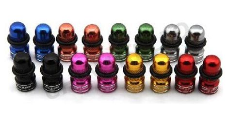 2 bouchons de valves, couleur: gold