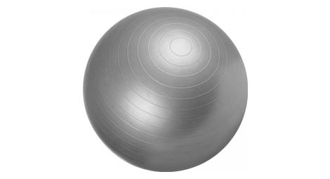 Swiss ball ballon de gym tailles 55 cm 65 cm 75 cm couleur gris diametre 75 cm